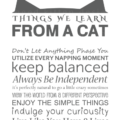 Things We Learn From Cats - 11x14 - Gray